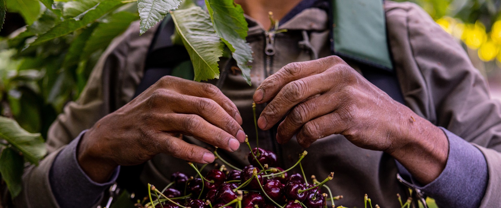 The Growing Demand for Laborers in Northeastern Illinois